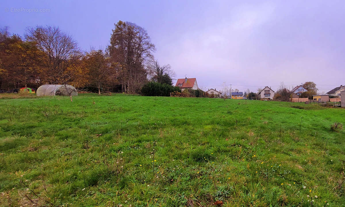 Terrain à SAINT-MICHEL-SUR-MEURTHE