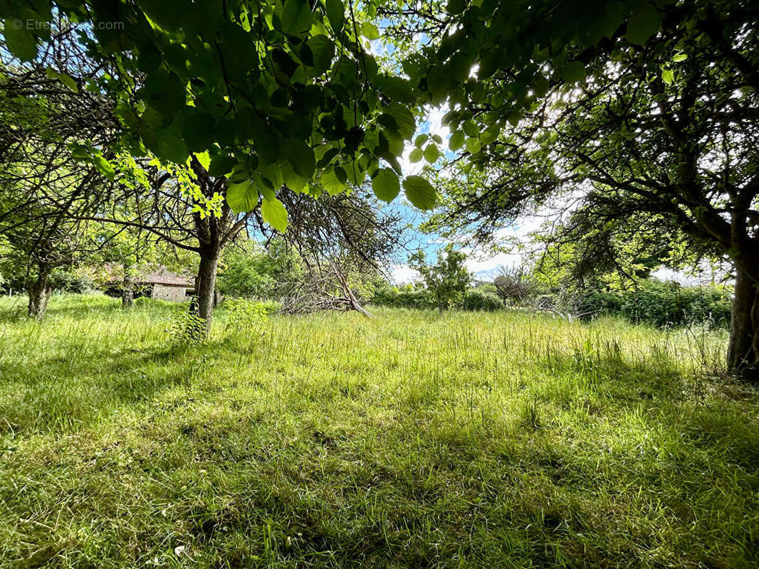 Terrain à SOUVIGNE