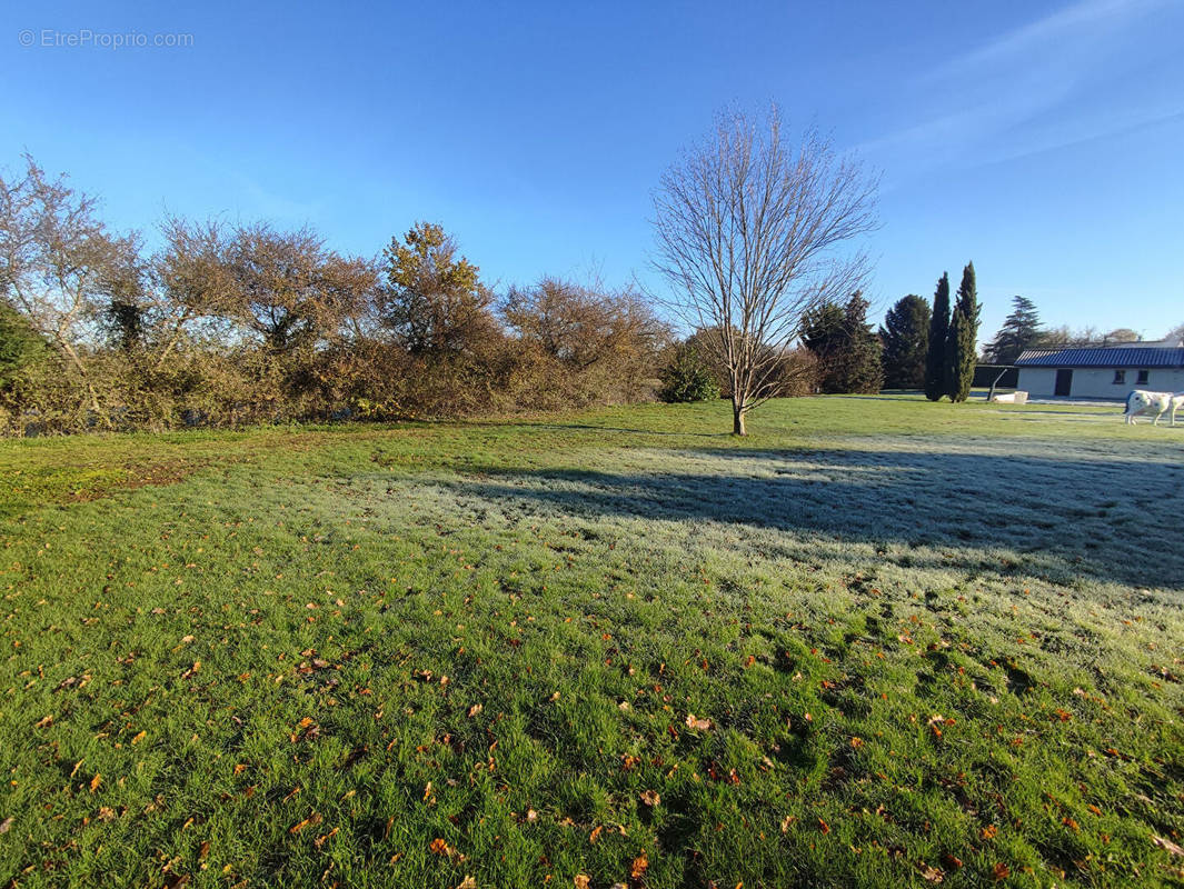 Terrain à VILLARS-LES-DOMBES