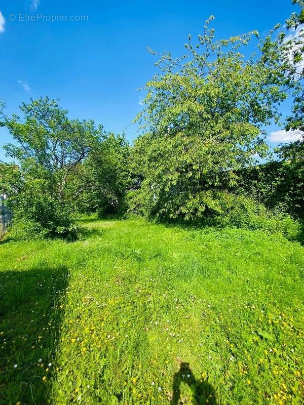 Terrain à LA FERTE-SOUS-JOUARRE