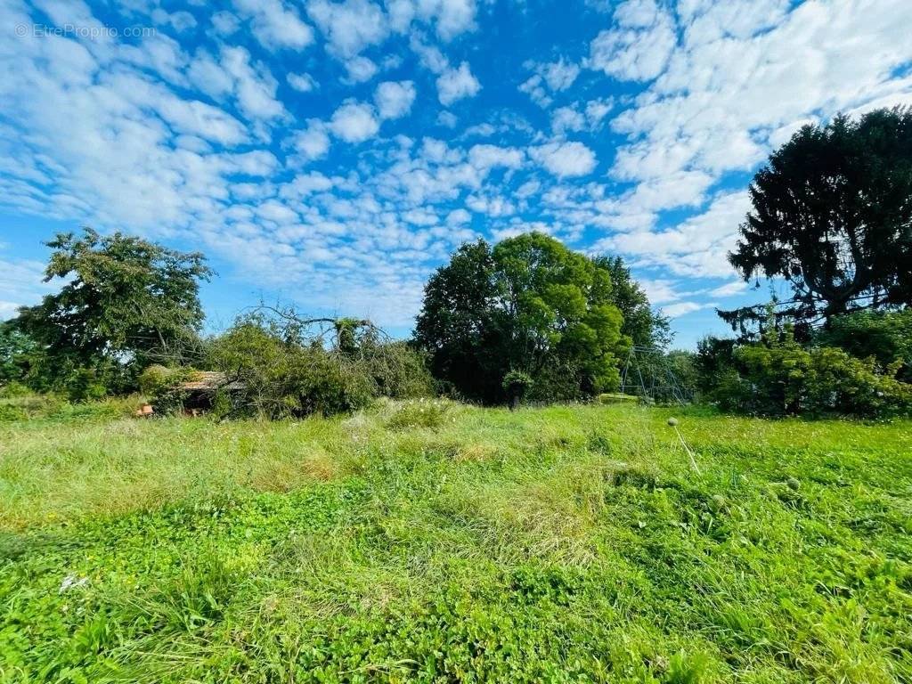 Terrain à LA FERTE-SOUS-JOUARRE