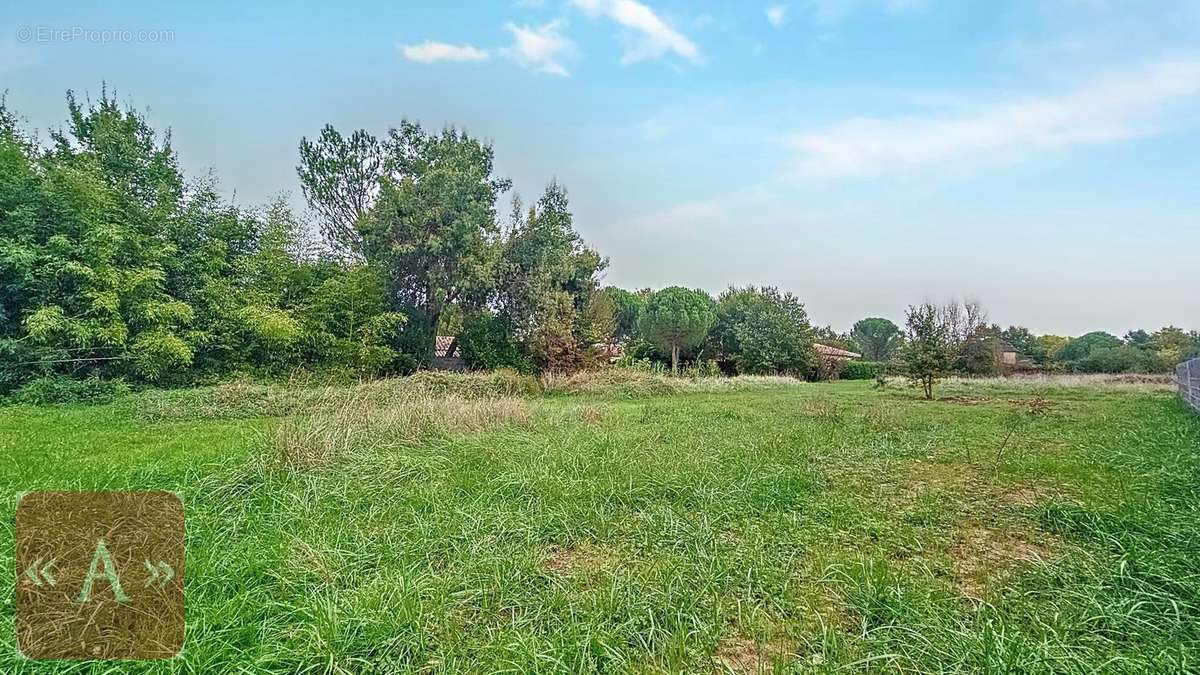 Terrain à SAINT-SULPICE