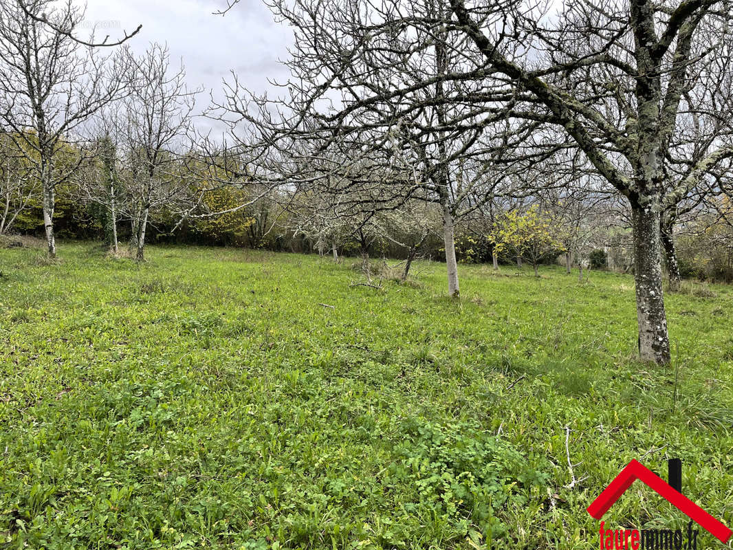 Terrain à LISSAC-SUR-COUZE