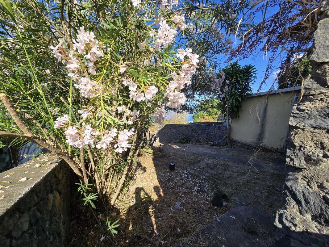 Appartement à SAINT-LEU