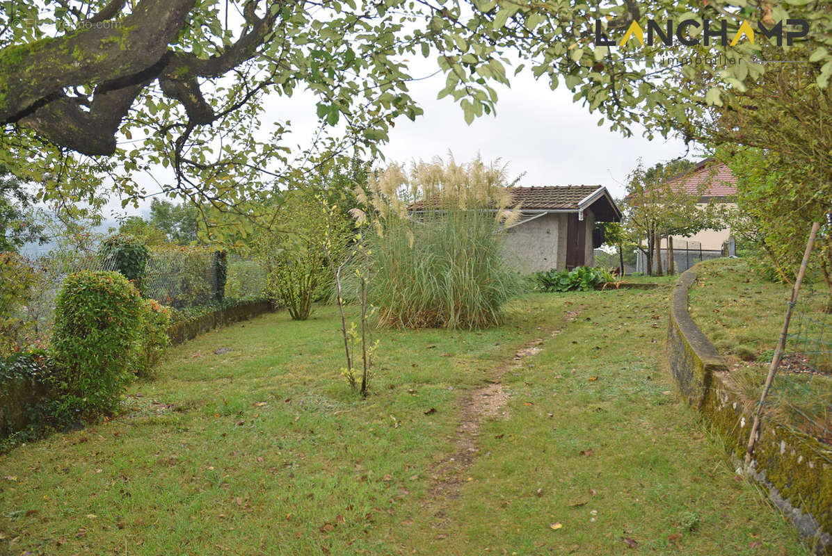 Maison à ANGLEFORT