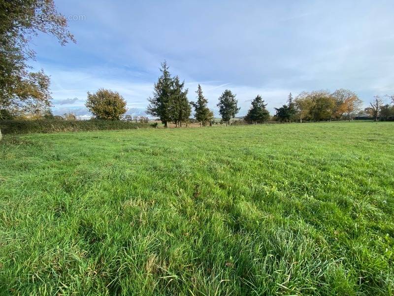 Terrain à JOSSELIN