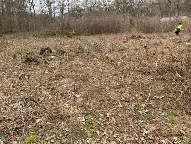 Terrain à SAINT-HILAIRE-LES-ANDRESIS