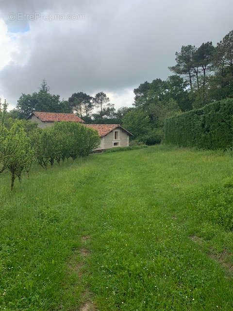 Maison à SAINT-PAUL-DE-SERRE