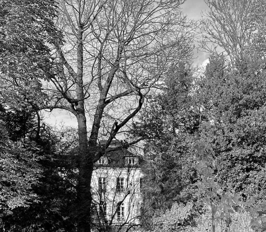 Maison à RENNES