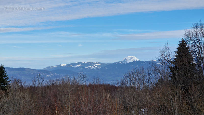 Appartement à THOLLON-LES-MEMISES