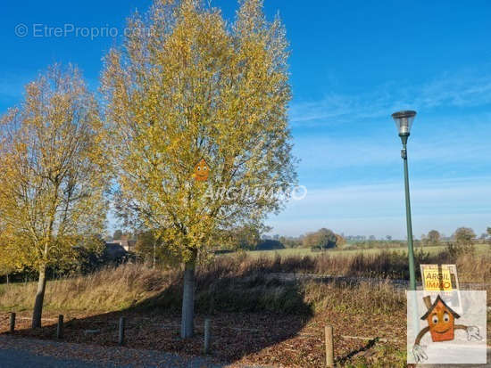 Terrain à MAROLLES-LES-SAINT-CALAIS