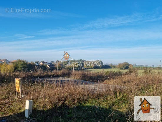 Terrain à MAROLLES-LES-SAINT-CALAIS