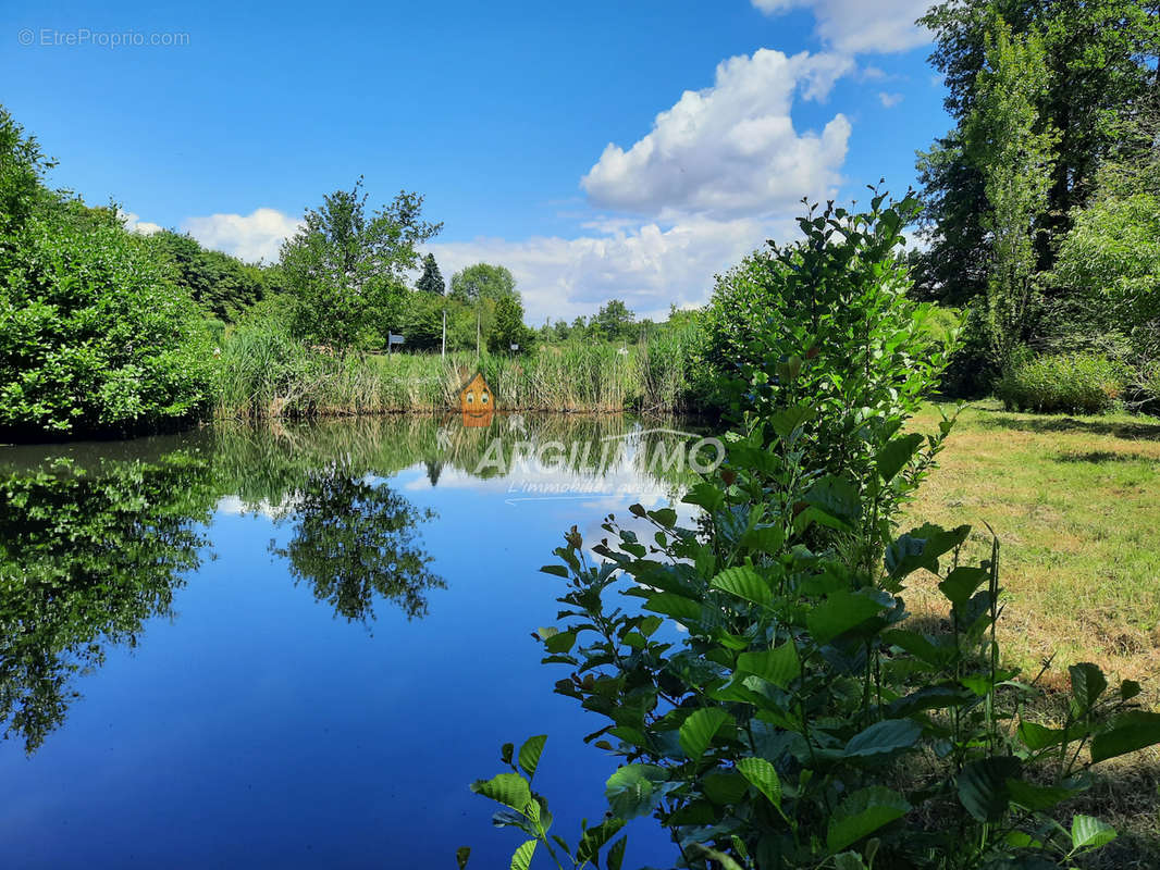 Terrain à BOULOIRE