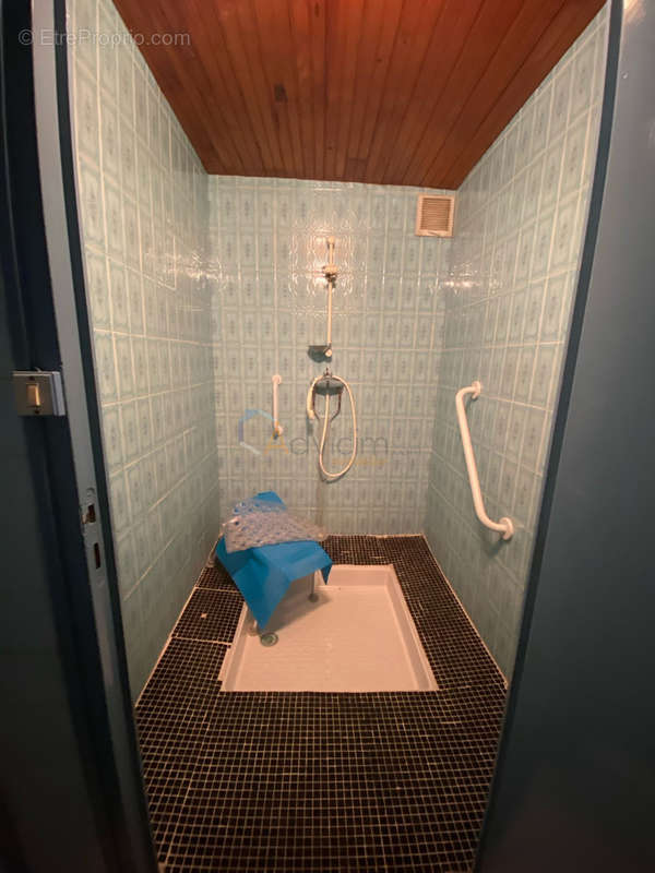 Duplex - Douche - Appartement à SAINT-GENEST-LERPT