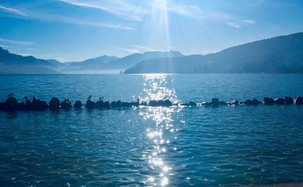 Commerce à ANNECY