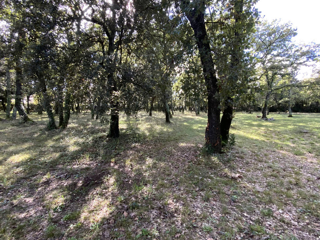 Terrain à UZES