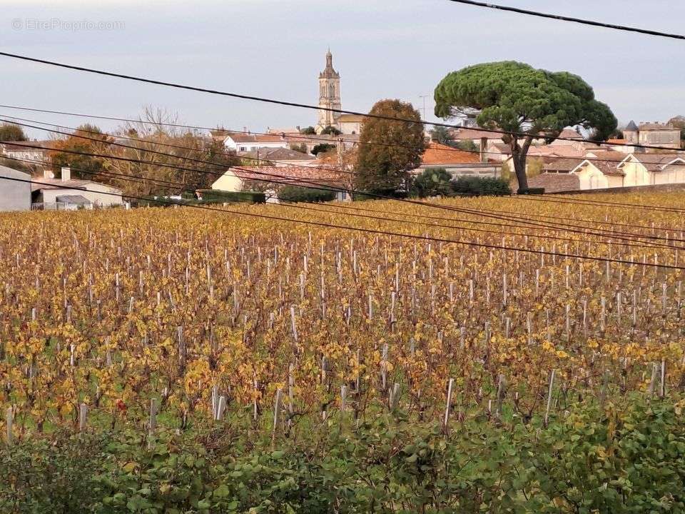 Maison à SAINT-ESTEPHE