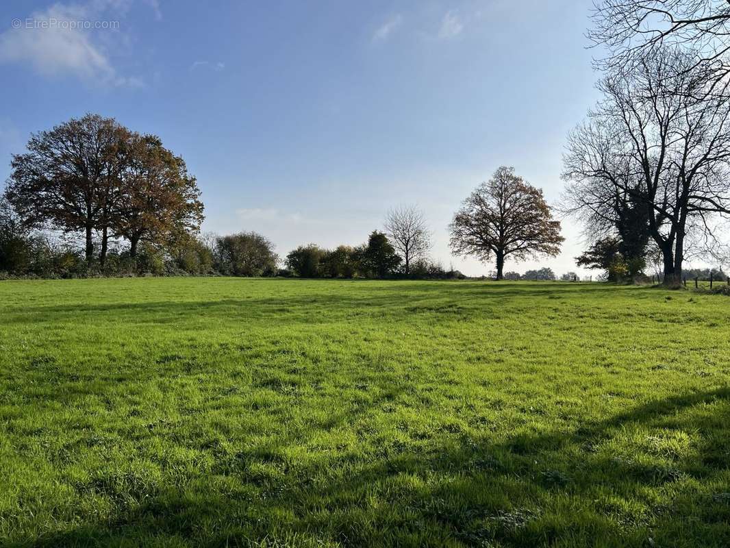 vue sur le champs - Maison à BRIOUZE