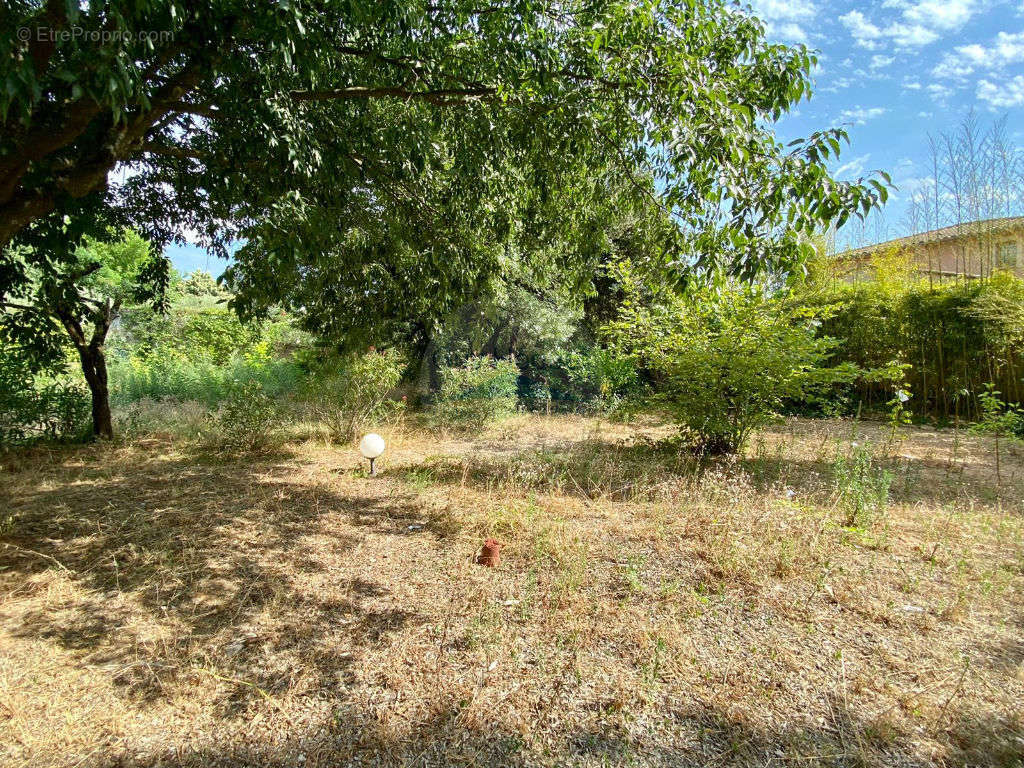 Terrain à CARPENTRAS