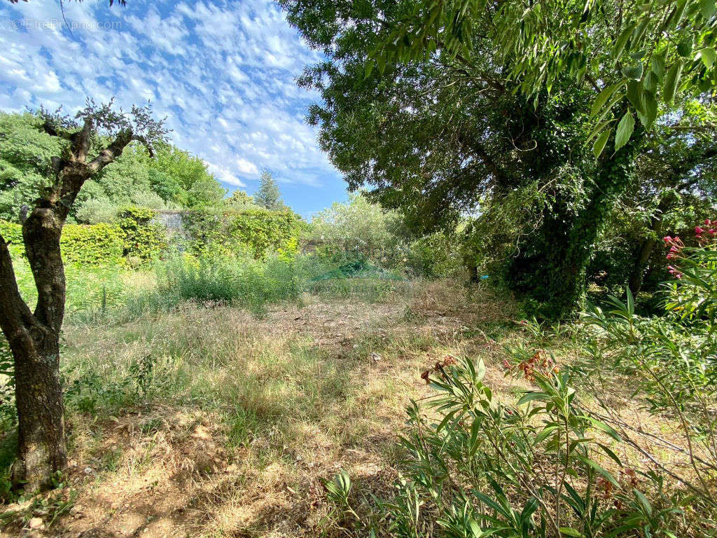 Terrain à CARPENTRAS