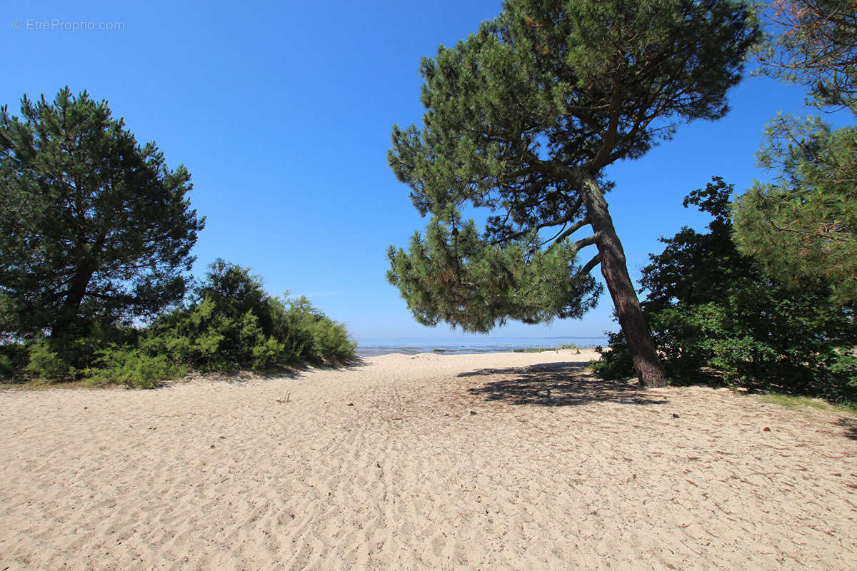 Terrain à ARES