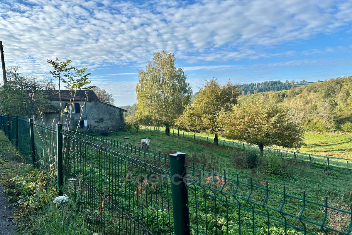 Maison à COMBRE