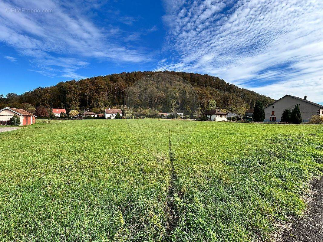 Terrain à BREUCHOTTE