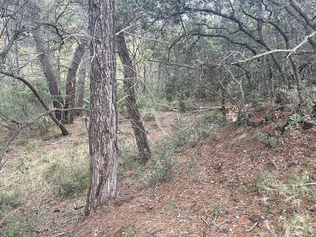 Terrain à JOUQUES