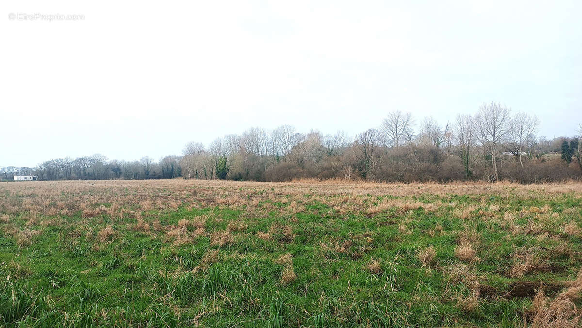 Terrain à SAINT-JEAN-TROLIMON