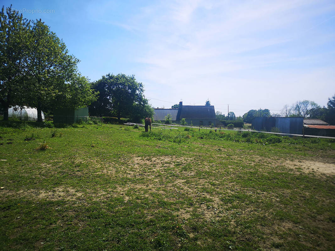 Terrain à LE VAL-SAINT-PERE