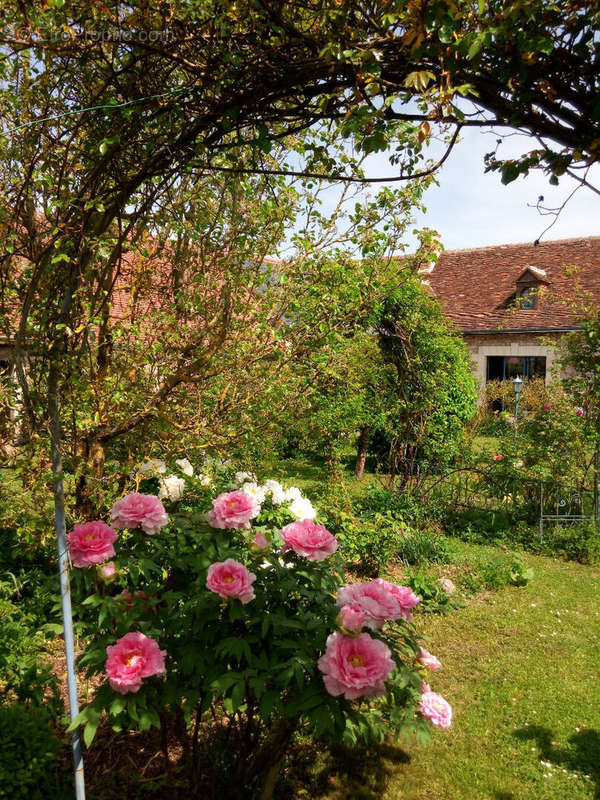 Maison à CIGOGNE