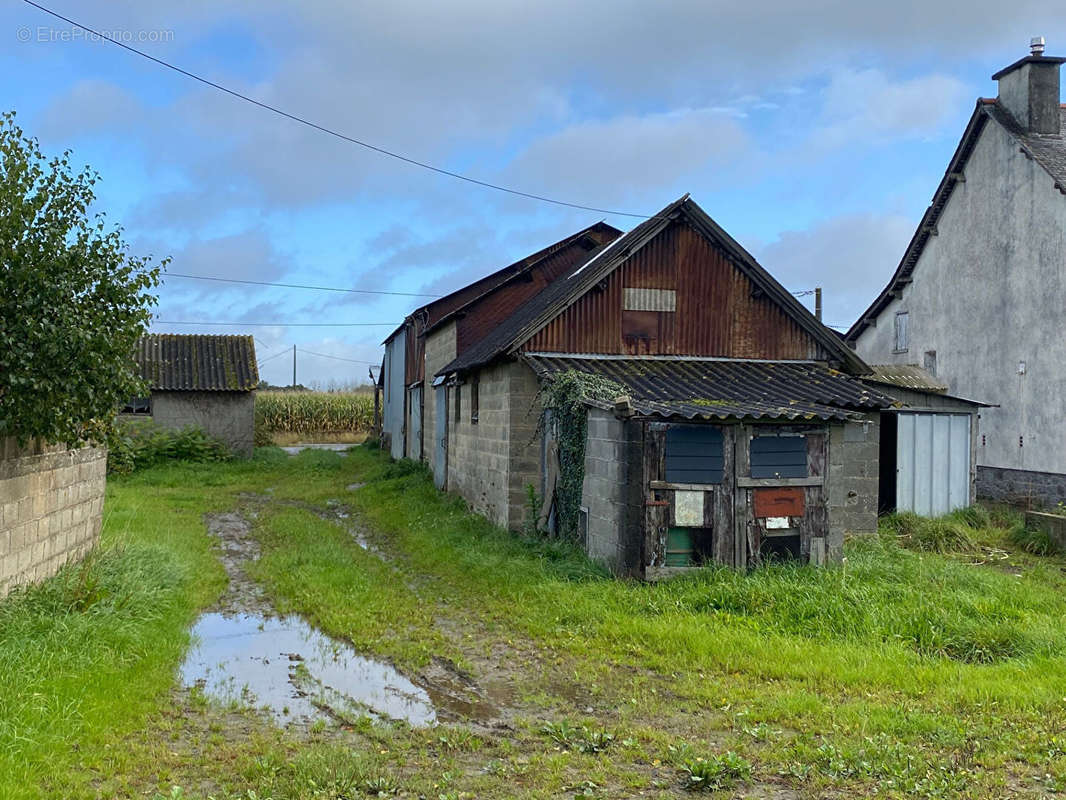 Maison à BILLE