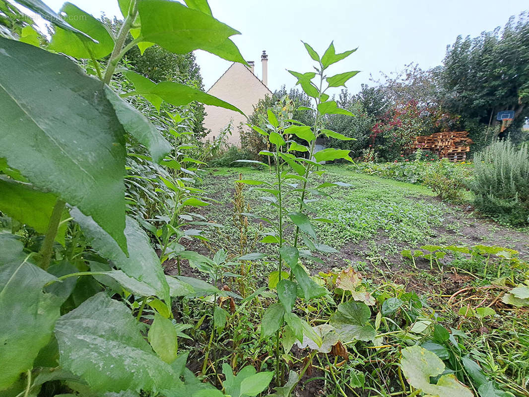 Terrain à PARMAIN