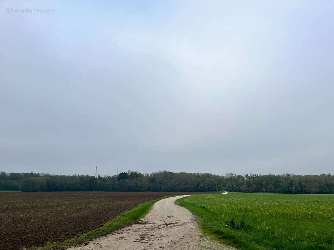 Terrain à CHATEAUNEUF-SUR-LOIRE