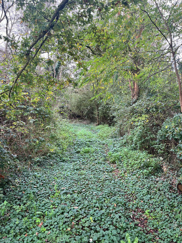 Terrain à CHATEAUNEUF-SUR-LOIRE