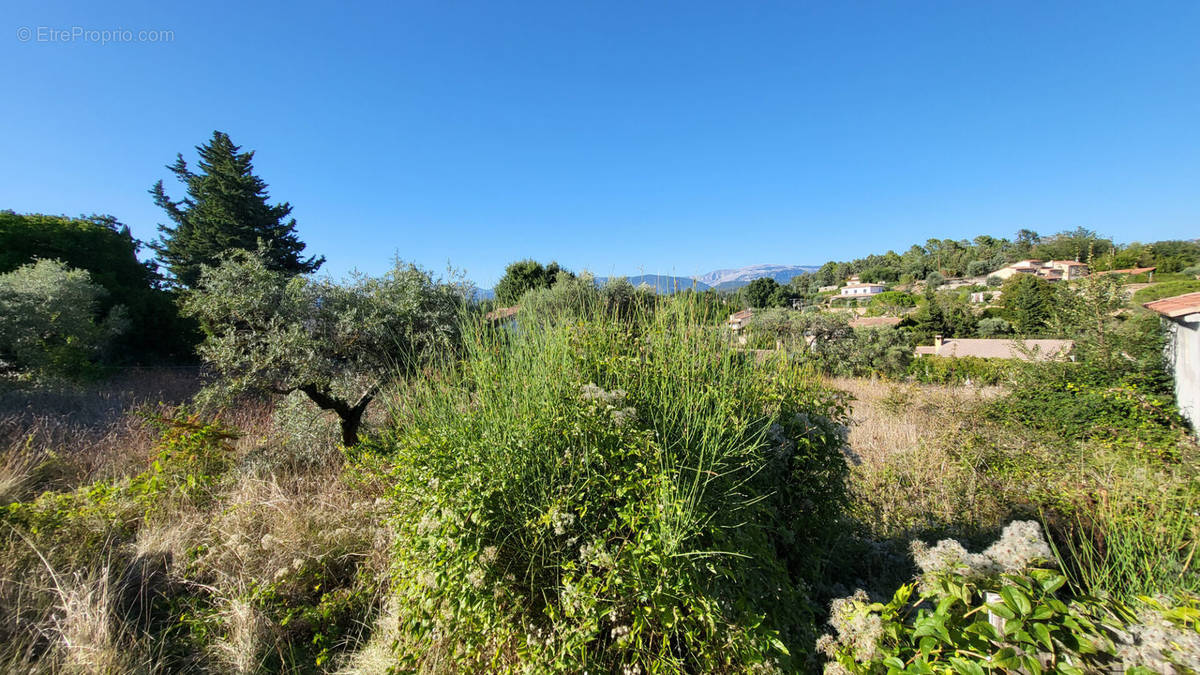 Terrain à MONTAUROUX