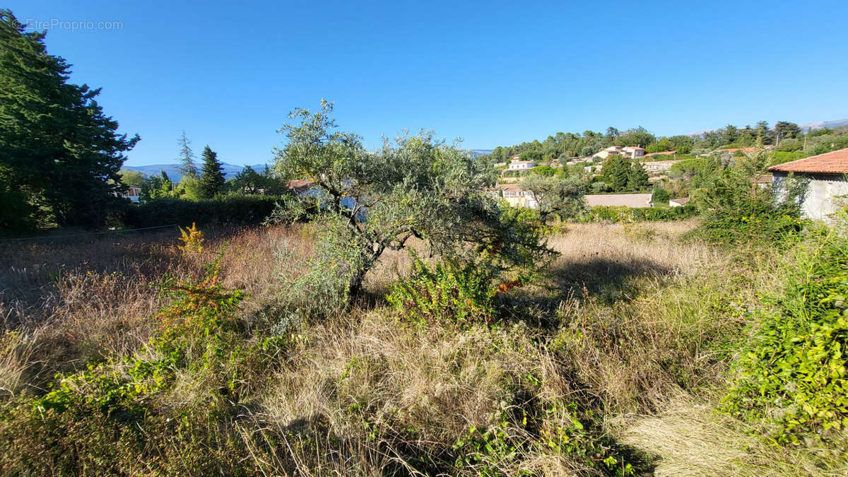 Terrain à MONTAUROUX