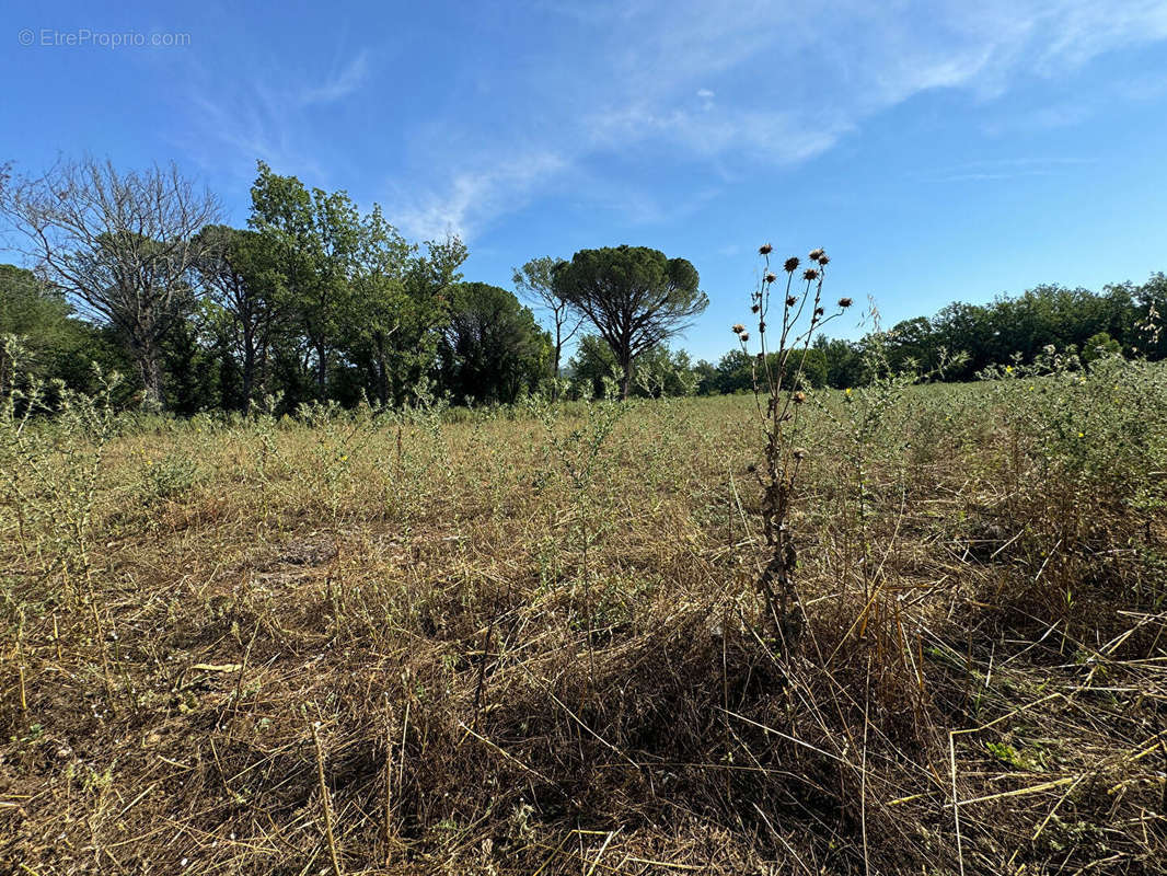 Terrain à TOURRETTES