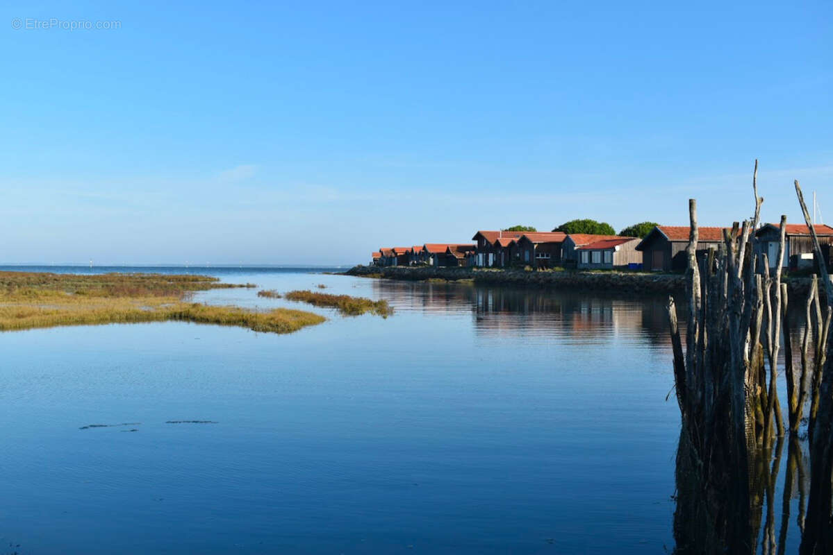 Maison à LE TEICH