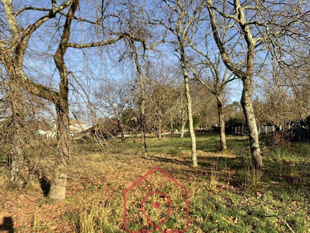 Terrain à LE TEICH