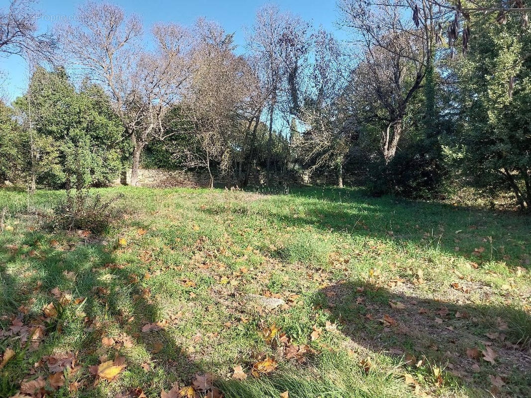 Terrain à SAINT-JEAN-DE-CORNIES