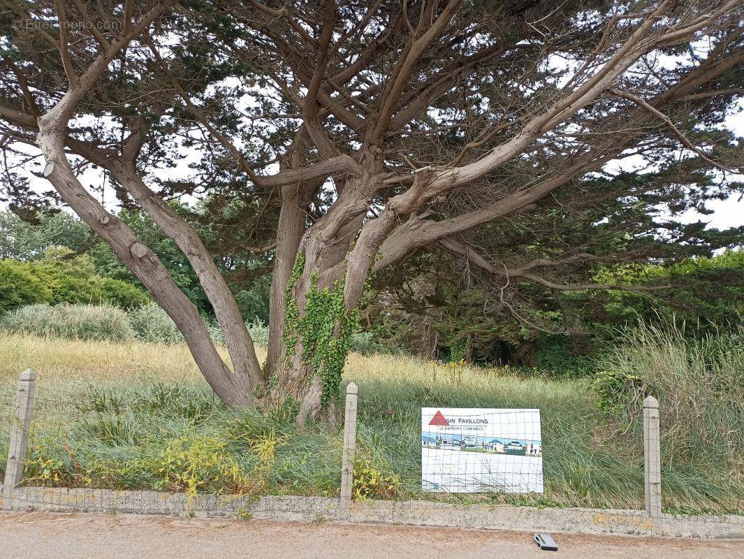 Terrain à BERNIERES-SUR-MER