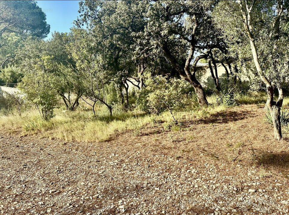 Terrain à VILLENEUVE-LES-AVIGNON