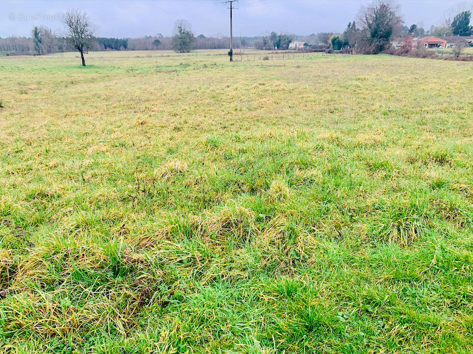 Terrain à PEUJARD