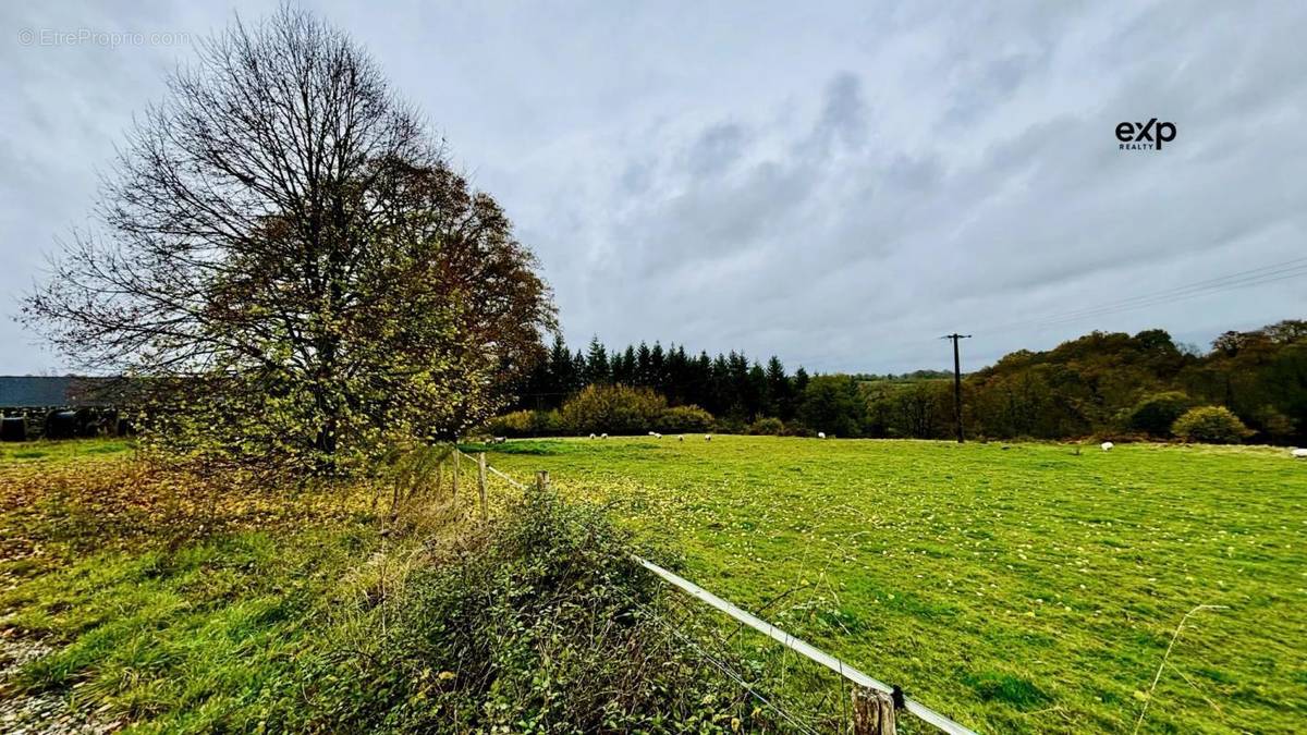 Terrain à SAINT-FRAIMBAULT-DE-PRIERES