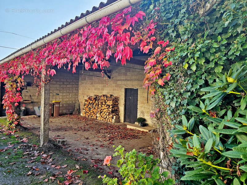 Maison à REDON