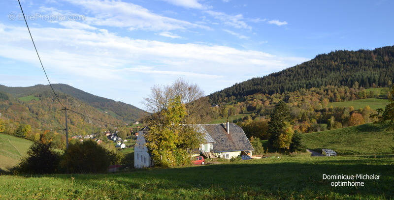 Appartement à LE BONHOMME