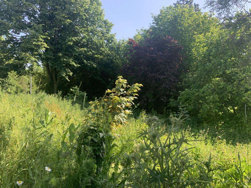 Terrain à BOUVINES