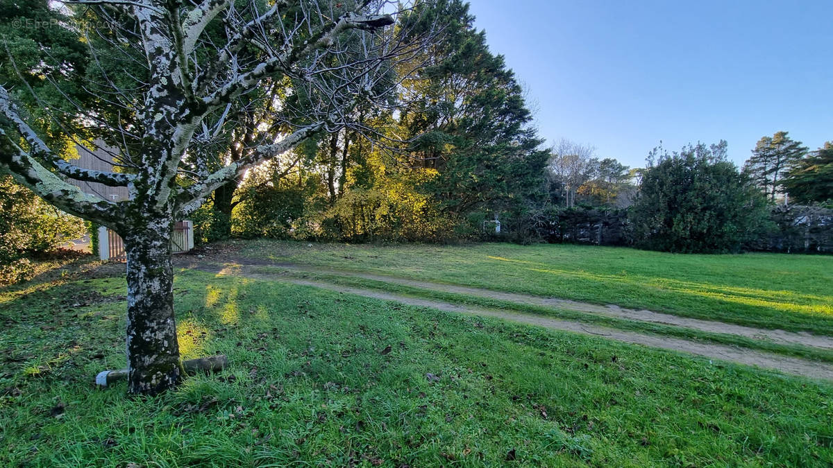 Terrain à SAINT-HILAIRE-DE-RIEZ