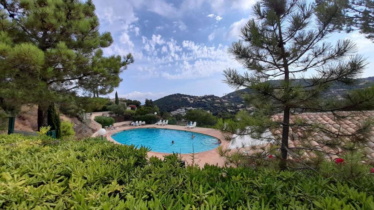 Maison à ROQUEBRUNE-SUR-ARGENS